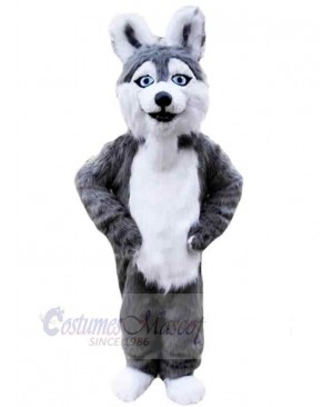 Gray and White Husky Dog Mascot Costume Animal with Blue Eyes
