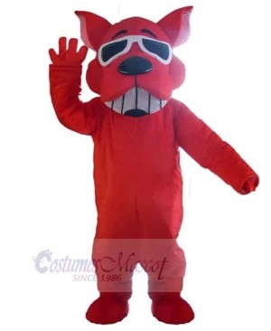 Smiling Sunglasses Red Dog Mascot Costume Animal