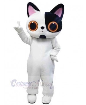 Lovely Black and White Cat Mascot Costume Animal