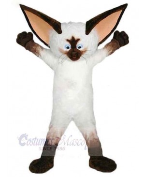 Big-eared White Civet Cat Mascot Costume Animal