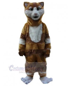 Confused Brown and White Cat Mascot Costume Animal