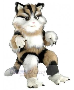 Cute Long Fur Black White and Brown Cat Mascot Costume Animal