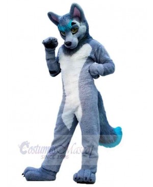 Grey and White Wolf Mascot Costume Animal with Blue Tail