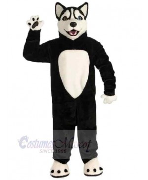 Happy Black Wolf Mascot Costume Animal with White Belly