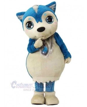 Little Cute Blue Wolf Mascot Costume Animal