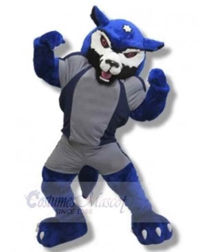 Power College Blue Wolf Mascot Costume Animal