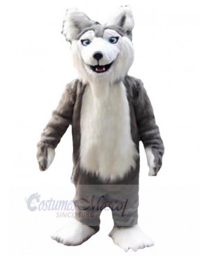 High Quality Gray and White Wolf Mascot Costume Animal