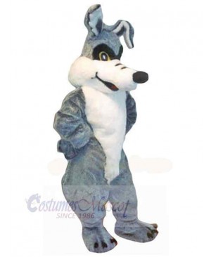 Cartoon Gray Wolf Coyote Mascot Costume Adult