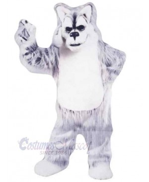 Gray and White Older Wolf Mascot Costume Animal