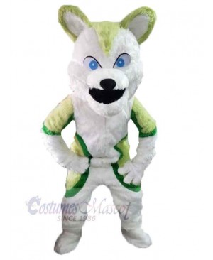 Funny Wolf Mascot Costume Animal with Blue Eyes