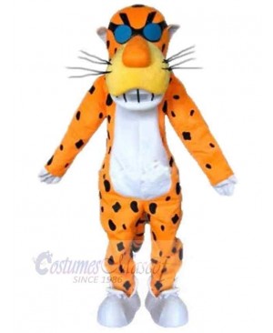 Orange Tiger Mascot Costume Animal Adult