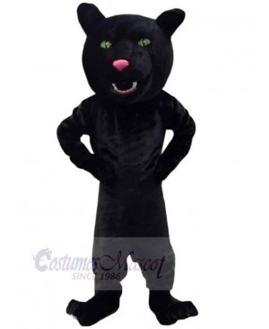 Affordable Black Panther Mascot Costume Animal