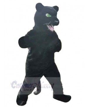 Green Eyes Panther Adult Mascot Costume Animal