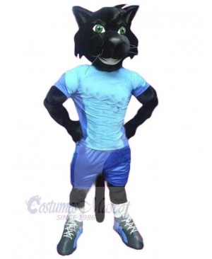 College Panther Mascot Costume Animal in Blue Clothes