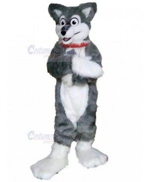 Gray and White Husky Dog Fursuit Mascot Costume with Red Collar Animal