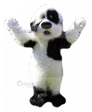 Black and White Bichon Dog Fursuit Mascot Costume