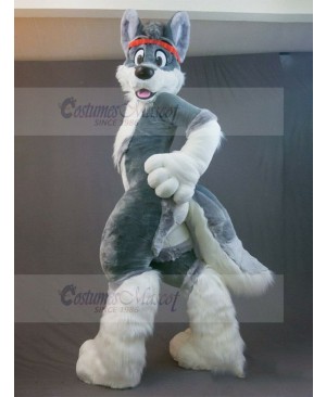 Gray Husky Dog Fursuit Mascot Costume with Red Headband