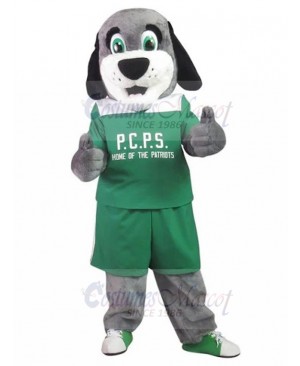 Patriots School Grey Dog Mascot Costume in Green Shirt Animal