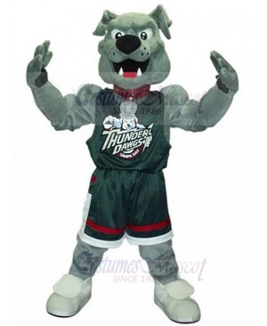 Muscular Grey Bulldog Thunder The Dawg Mascot Costume Animal