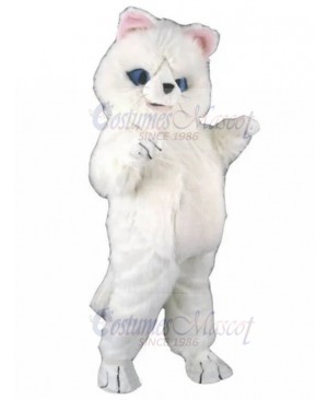 Plush White Persian Cat Mascot Costume Animal