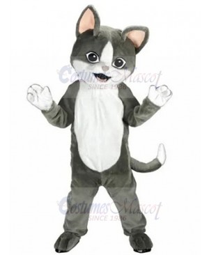 Gentle Grey and White Cat Mascot Costume Animal