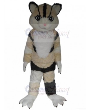 Smart Tricolor Tabby Cat Mascot Costume Animal