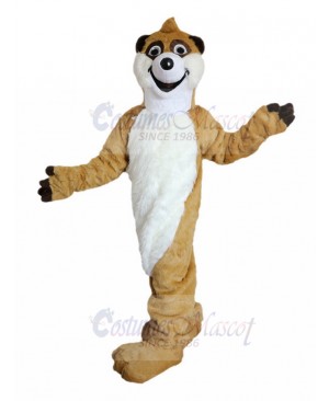 Laughing Brown Raccoon Mascot Costume Animal