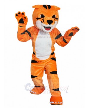 Likable Little Orange Tiger Mascot Costume Animal
