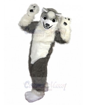 Furry Grey and White Wolf Husky Dog Mascot Costume Animal
