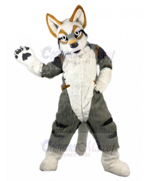 Long Fur Grey Husky Dog Fursuit Mascot Costume Animal