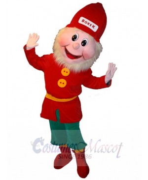 Red and Green Leprechaun Mascot Costume Cartoon