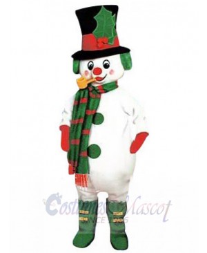 Snowman Leprechaun Elf Mascot Costume Cartoon