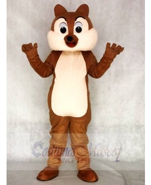 Squirrel Boy Mascot Funny Costumes Animal