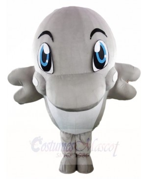 Grey Dolphin Mascot Costumes Ocean 