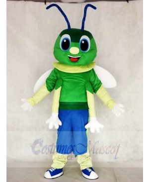 Green Firefly Mascot Costumes Insect