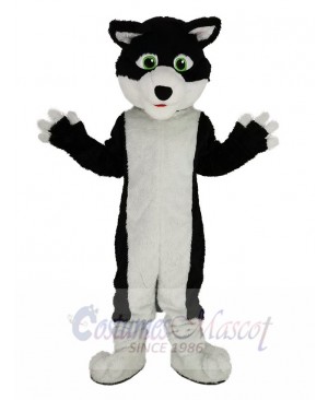 Black and White Border Collie Dog with Green Eyes Mascot Costume