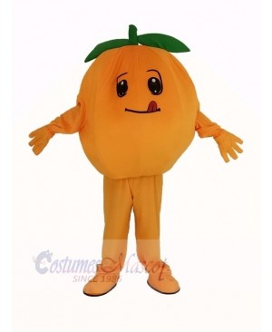 Orange Fruit Mascot Costume