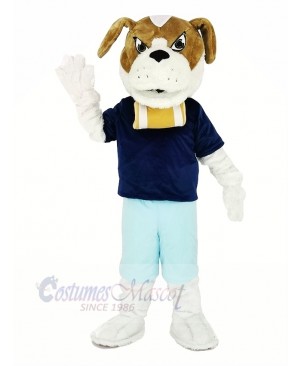 Saint Bernard Dog with Blue T-shirt Mascot Costume Cartoon