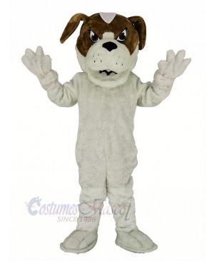 Saint Bernard Dog Mascot Costume Cartoon