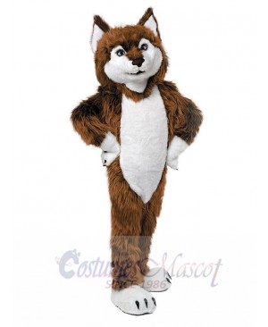 Cute Brown Wolf Mascot Costume Animal