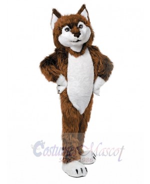 Cute Brown Wolf Mascot Costume Animal