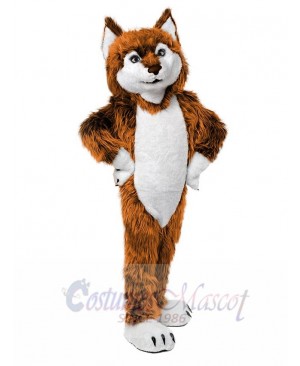 Cute Golden Wolf Mascot Costume Animal