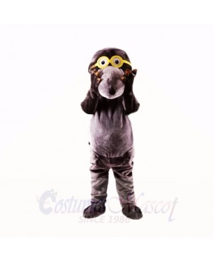 Gray Glasses Mole Mascot Costumes College