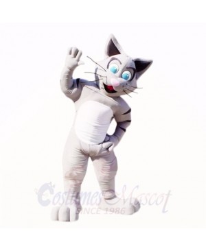 Friendly Gray Cat Mascot Costumes Cartoon