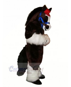 Cute Horse with Long Tail Mascot Costumes Cartoon