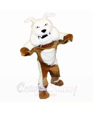 Greenstone Bulldog Mascot Costumes Adult