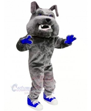 Grey Bulldog with Blue Shoes Mascot Costumes