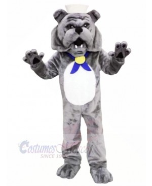 Grey Bulldog Mascot Costumes Adult