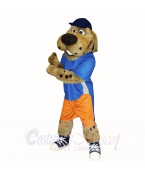 Sport Dog with Blue Hat Mascot Costumes School