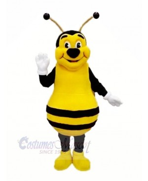 Smiling Bee Mascot Costumes Adult